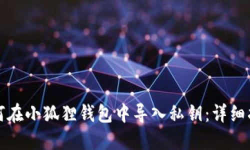 如何在小狐狸钱包中导入私钥：详细指南